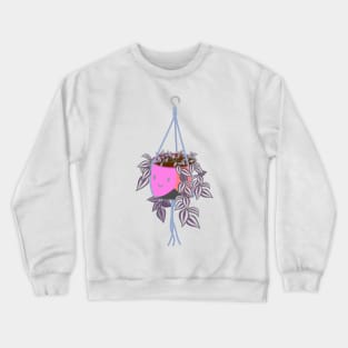 tradscantia plant in genderfluid pride pot Crewneck Sweatshirt